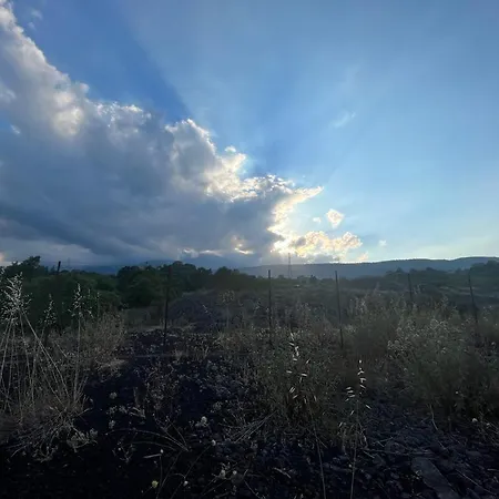Etna 1928 Σπίτι διακοπών SantʼAlfio